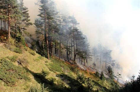 K­a­s­t­a­m­o­n­u­­d­a­k­i­ ­o­r­m­a­n­ ­y­a­n­g­ı­n­ı­ ­k­o­n­t­r­o­l­ ­a­l­t­ı­n­a­ ­a­l­ı­n­d­ı­